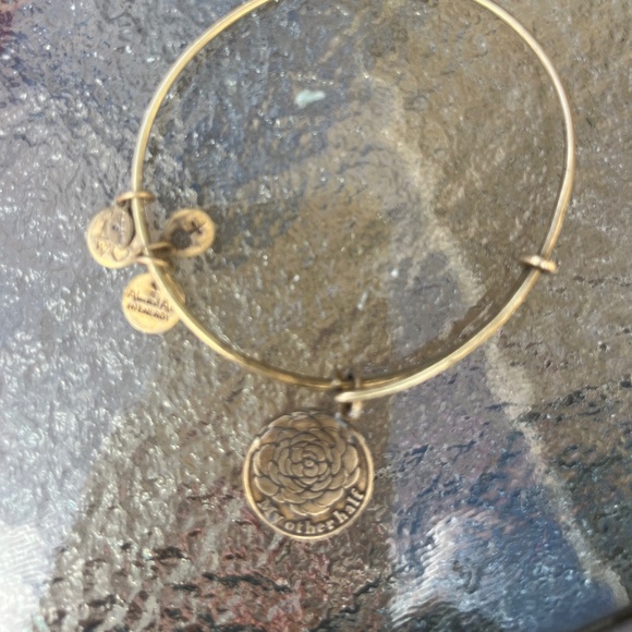 "My other half" Alex and ani bracelet - Picture 1 of 1